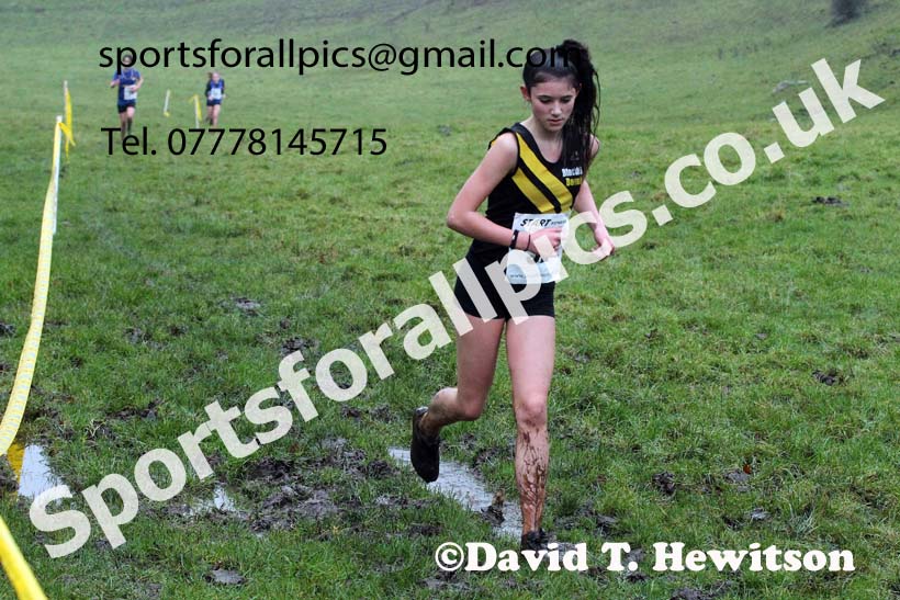 Girls under-13s, NECAA Junior Cross Country Relays, Thornley Farm, Peterlee, Saturday, December 12th. Photo: David T. Hewitson/Sports for All Pics
